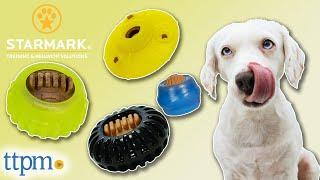 Starmark Treat Toys for Dogs Review 2021 | TTPM Pet Review