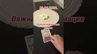 Таро на каждый день #chill #таро #cover #гадание #tarot