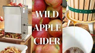 Homemade Fresh Apple Cider - Grinding, Pressing, Fermenting