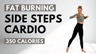 SIDE STEPS CARDIOLOW IMPACT CARDIO for WEIGHT LOSSKNEE FRIENDLYNO JUMPING350 CAL