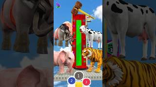 Who Is Stronger? Lion vs Tiger vs Elephant Funny Cartoon 3d Animal Game #shorts #cow #tiger  #games