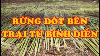 Hồi Ký Miền Nam | RỪNG ĐÓT BÊN TRẠI TÙ BÌNH ĐIỀN (ĐINH HOA LƯ)