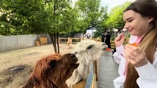 Шоу «Охотники за приключениями»