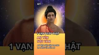 Lời Phật dạy về Chánh Niệm: Tìm Kiếm Bình Yên Giữa Lo Âu và Bất An #loiphatday