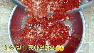 (#인기급상승동영상) 고추가루를 여기 부었더니 가족들이 모두 놀라 자빠 집니다