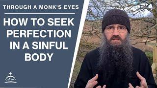 How to Seek Perfection in a Sinful Body (w/ Fr. Seraphim Aldea)