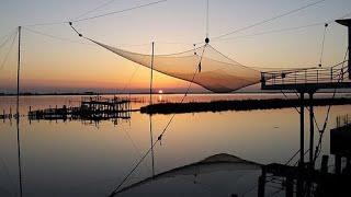 Crab fishing with scales