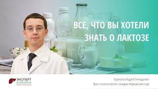 Все, что вы хотели знать о лактозе | Клиника ЭКСПЕРТ