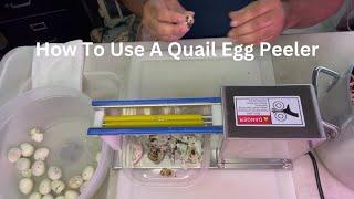 Effortlessly Peel Quail Eggs with this Amazing Quail Egg Peeler