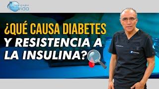 ¿Qué Causa Diabetes y Resistencia a la Insulina? 🩸