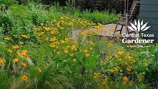 Three Stories of Change: Wildflower Pocket Gardens