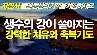 자면서 들으면 생수의 강처럼 쏟아지는 물댄동산의 치유와 축복과 가계의 저주와 가난이 사라집니다.#서효원목사치유기도 #잠자며듣는기도 #질병치유기도 #치유기도 #축복기도 #불면증