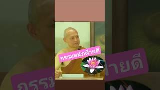 สมาธิเหตุสมปรารถนา #ธรรมะ #พุทธวจน #พระอาจารย์คึกฤทธิ์ #วัดนาป่าพง #สาธุ #นกพรทิพย์