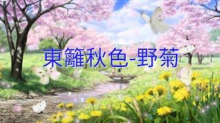 YPT18《東籬秋色-野菊》心靈音樂｜休閒音樂｜佛教音樂｜禪修音樂｜太極拳背景音樂＞無痕加長珍藏版