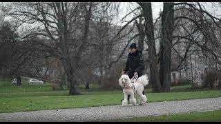 Studieren mit Beeinträchtigung: Eine Reportage an der Universität Leipzig