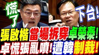 【全字幕】開議第一炮！張啟楷當場揭穿卓榮泰！下台！卓慌了手腳亂噴！遭韓國瑜出面制裁！總質詢20250304 #總預算 #川普 #台電 #抗中保台