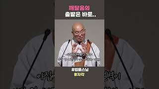 깨달음의 출발은 바로  #법륜스님 #자각 #법륜쇼츠 #법륜스님쇼츠 #정토불교대학
