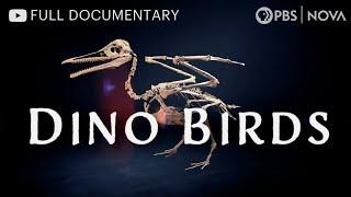 Dino Birds | Full Documentary | NOVA | PBS