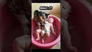 Cats are Water?  #shorts