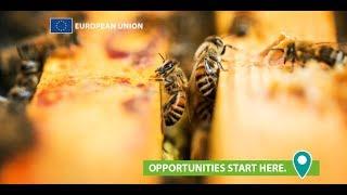EU-funded in Latvia: beekeeping family business