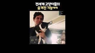 대부분 모르는 고양이의 충격적인 비밀 