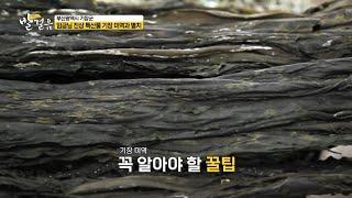 [부산 기장] 임금님 진상 특산물 '기장 미역과 멸치'