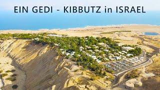 Ein Gedi ist ein KIBBUTZ am Westufer des DEAD SEA in Israel