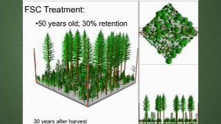 The Future of Forestry: Future Forest Management in the Pacific Northwest