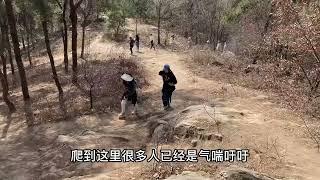 徒步南阳紫山是一种什么感觉？跟随白河白一块体验户外的乐趣吧！