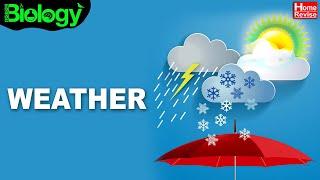 Weather | Climate & Weather | Part 2 | Home Revise