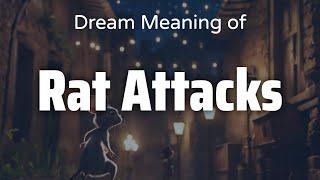 Rat Attacks Dream Meaning & Symbolism | Interpretation Psychology