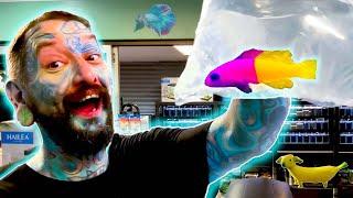 UNBOXING AMAZING TROPICAL FISH FOR MY AQUARIUM STORE!