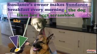 Comma Splices by Shmoop