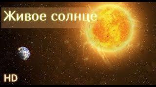 Солнце онлайн. Смотреть солнце в HD