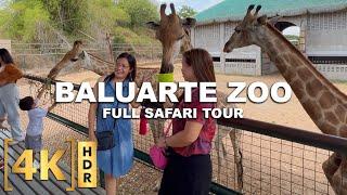 The Famous Baluarte Zoo in Vigan City and Chavit Singson! | Walking Tour | Ilocos Sur, Philippines