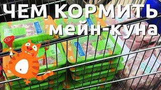 Корм для мейн кунов, продуктовая корзина моего питомника кошек