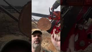 How NOT to compare chainsaws