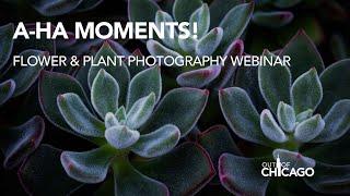 A-Ha Moments! Flower and Garden Photography Webinar