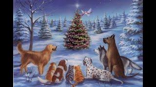 Merry Christmas Mail