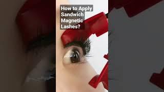 How to Apply Sandwich Magnetic Lashes with Applicator? #sandwichmagneticlashes #magneticlashes