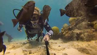 Scuba Diver Girls | Fish Are Friends In Bonaire!