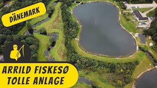 Arrild Fiskesø - tolle Anlage in Dänemark