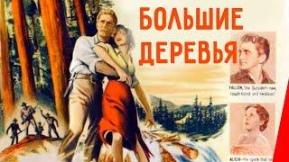 БОЛЬШИЕ ДЕРЕВЬЯ (1951) вестерн