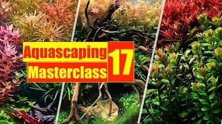 Aquascaping MasterClass 17 | How to choose Aquarium Plants | Mayur Dev Aquascaper | Online Course 4K