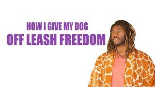 HOW I GIVE MY DOG OFF LEASH FREEDOM