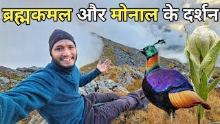 पहाड़ की सबसे ऊँची चोटी पर || Vishudi Tal Trek || Pahadi Biker || Alok Rana