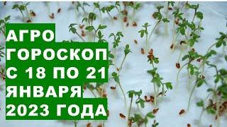 Agrohoroscope from 18 to 21 January 2023. Agrohoroscope from 18 to 21 September 2023