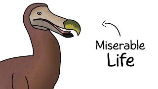 Why It Sucked to Be Born as a Dodo Bird