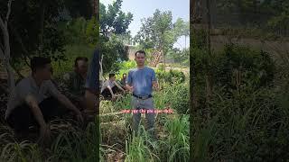 Tại sao nên làm sổ đỏ sớm #shorts