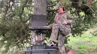 Review on Game Winner Oversize EZ Set Hang On Tree Stand